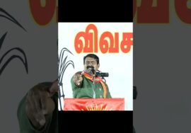ஓட்டு போட போற பொண்ணே ஒதுங்கி நிக்காத.. | ஈரோடு கிழக்கு பரப்புரையில் பாட்டுப்பாடி அசத்திய சீமா